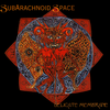 Subarachnoid Space - Delicate Membrane